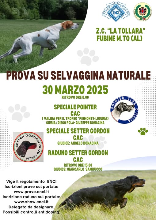 PROVA SU SELVAGGINA NATURALE 30 MARZO 2025 + RADUNO SETTER GORDON