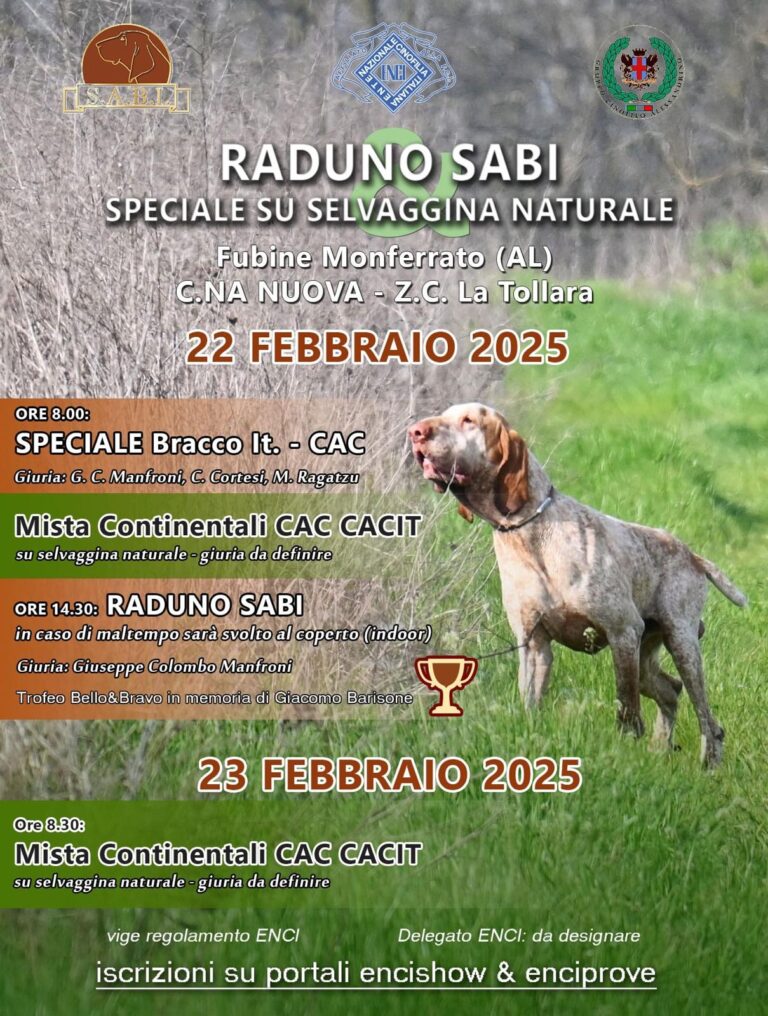 RADUNO NAZIONALE BRACCO ITALIANO – SABI